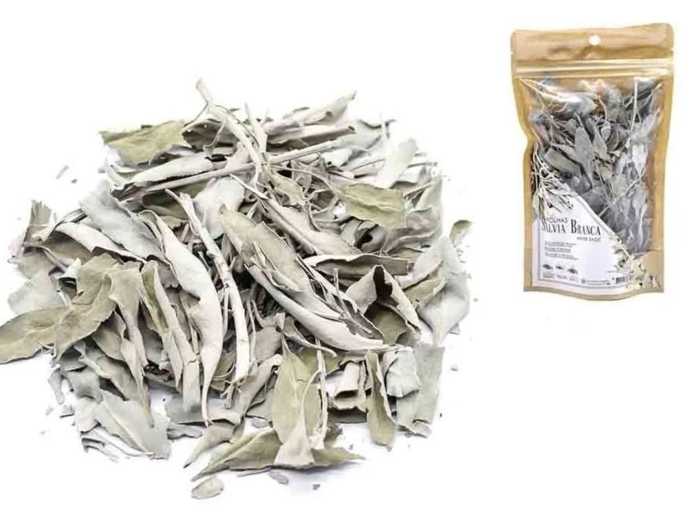 Salvia Branca