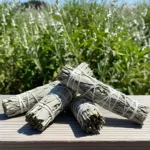 Tocha Sálvia Branca