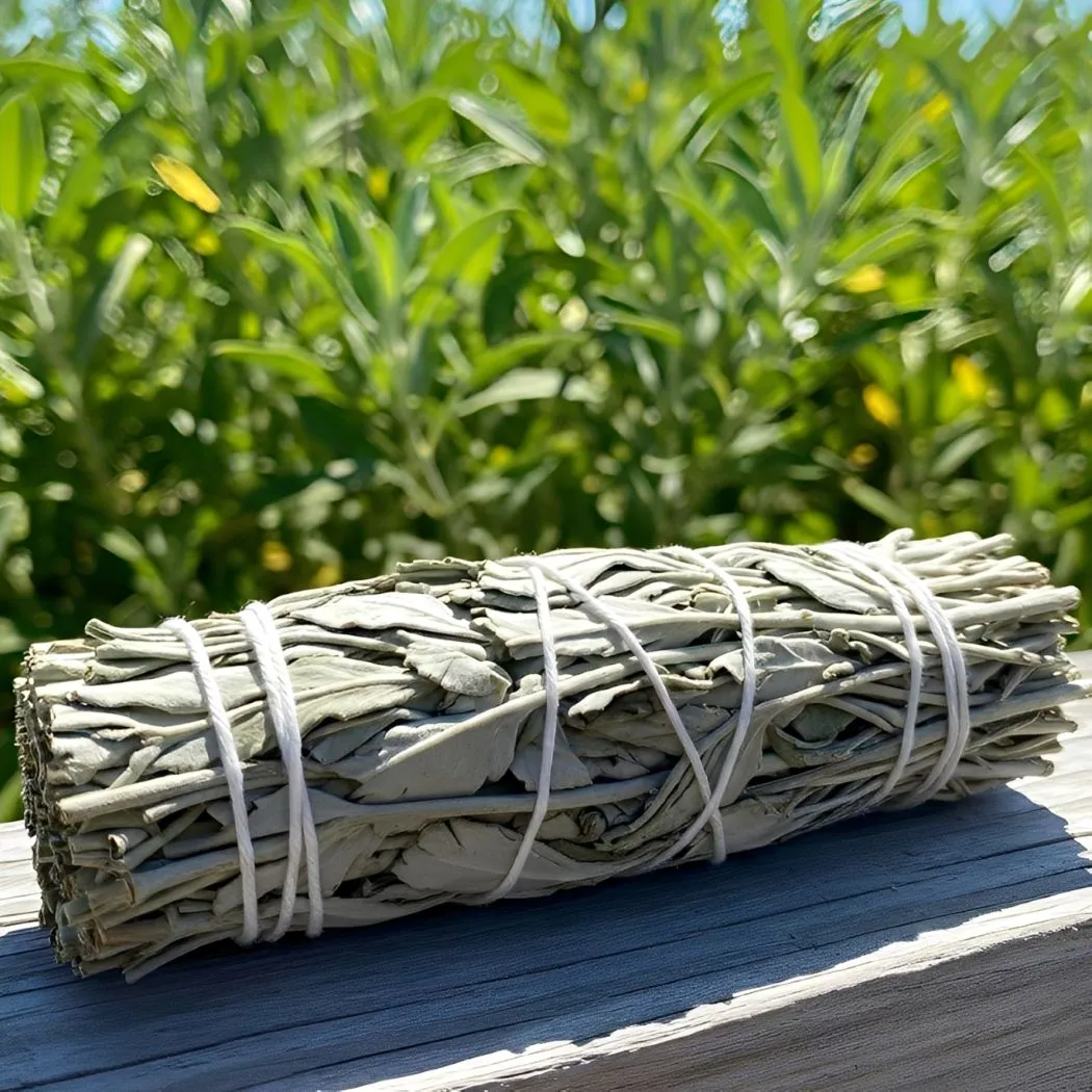 Tocha Tocha Sálvia Branca