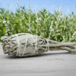 Mini Tocha Sálvia Branca 9cm