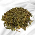 Catinga de Mulata