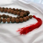 Japamala de Rudraksha