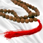 Japamala de Rudraksha