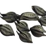 Garra de Pomba Gira
