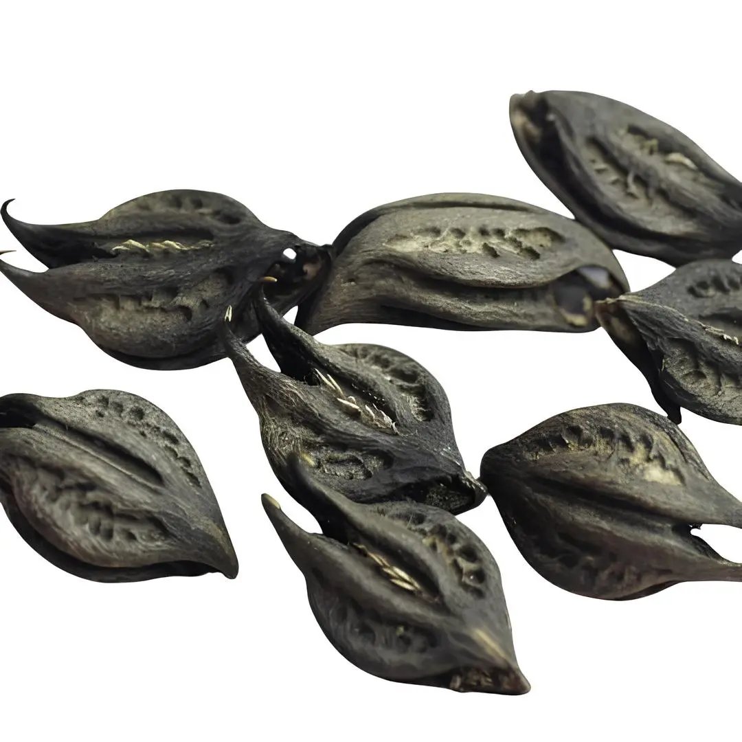 garra Garra de Pomba Gira