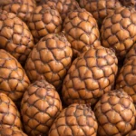 Fava Pinha de Oxóssi - Image 2