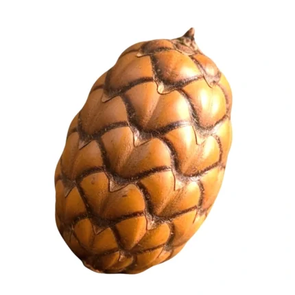 Fava Pinha de Oxóssi