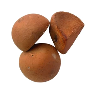 Fava de Oxum Fechada Natural para Amor e Prosperidade