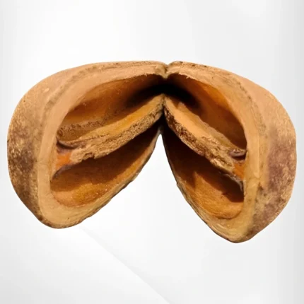 Fava Opelé Ifá Natural