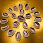 Búzios Abertos 21 Unidades | Ritual e Espiritualidade