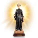 Estátua Dr. Sousa Martins