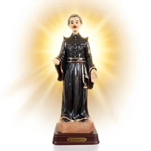 Estátua Dr. Sousa Martins