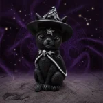 Gato Preto de Bruxa em resina para decoração mística