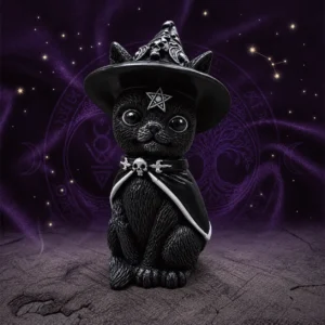 Gato Preto de Bruxa em resina para decoração mística
