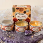 Visão completa da Vela Aromática de Pau Santo Goloka em Lata